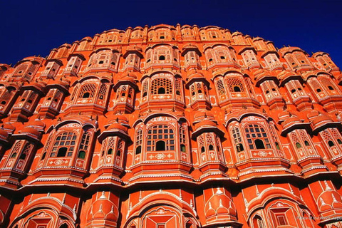 Delhi: 6Day Golden Triangle with Jodhpur & Udaipur(5* Hotel) From Delhi: Car & Guide for full Tour (No Tickets & Hotel)