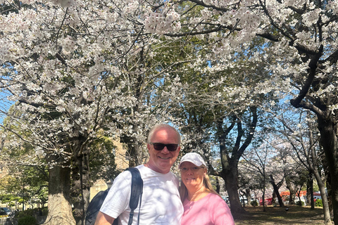Nagoya Sakura Tour