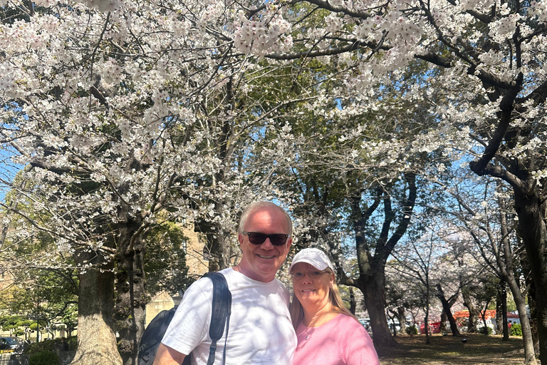 Nagoya Sakura Tour