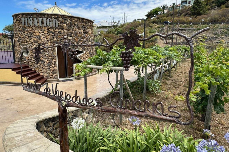 Tenerife: Guided tour with tasting of 6 wines