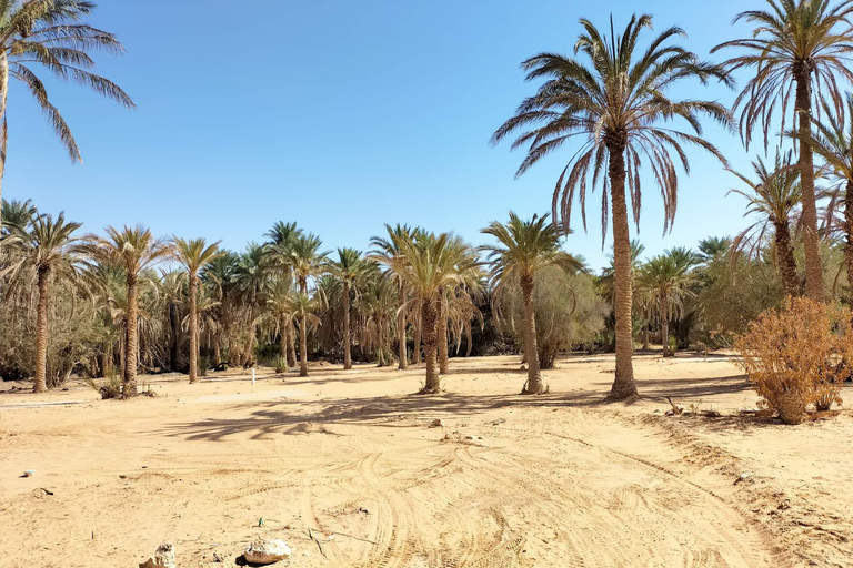 2 jours d'excursion au Sahara depuis HammametCircuit de 2 jours au Sahara (Hammamet)