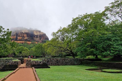 Depuis Kandy : Excursion d&#039;une journée à Sigiriya, Dambulla et Minneriya