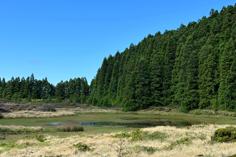 Geologische Tour durch das Zentrum der Insel Terceira