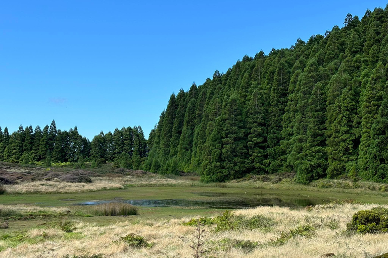 Geologische Tour durch das Zentrum der Insel Terceira