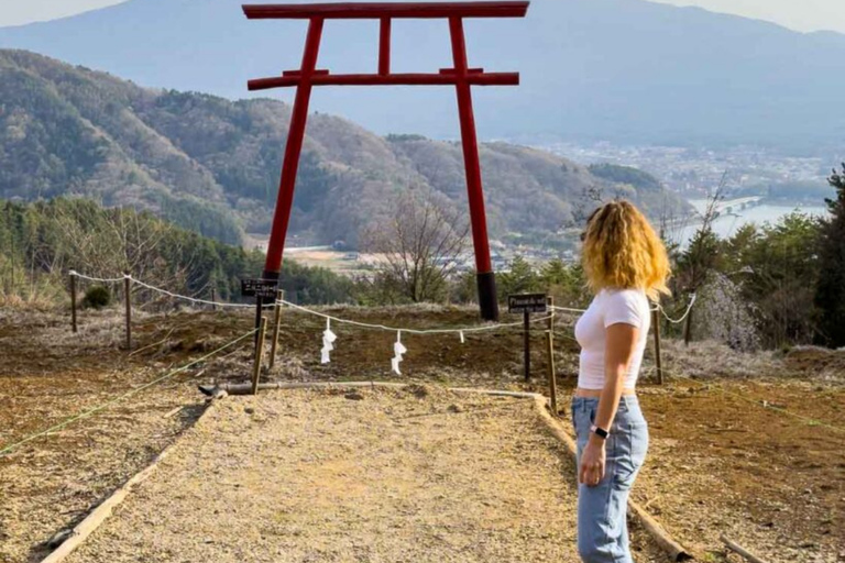 From Tokyo: Mount Fuji and Hakone Private Customizable Trip From Tokyo: Mount Fuji and Hakone Full Customizable Trip