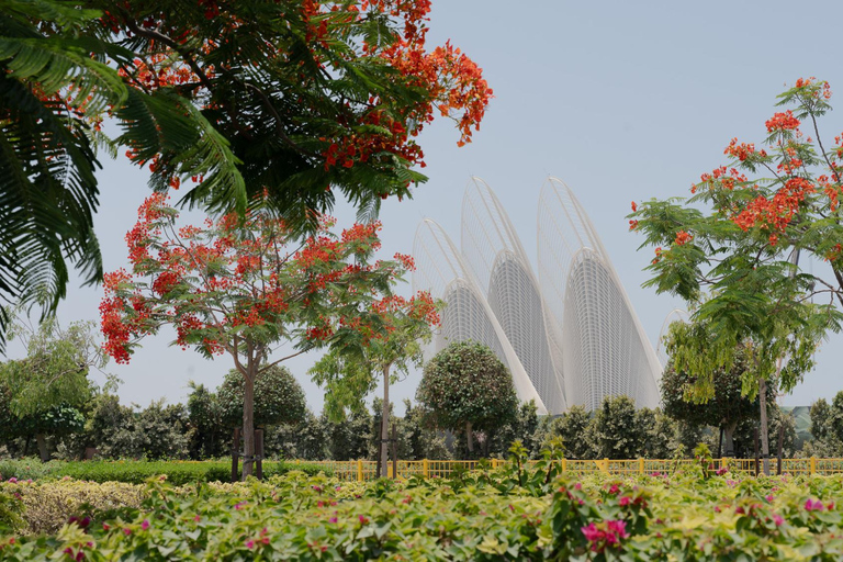 Abu Dhabi: Louvre, Zayed & Natural History Museum Pass Abu Dhabi : Louvre, Zayed & Natural History Museum Pass