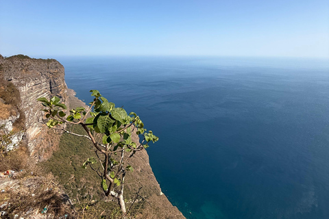 Salalah: Scenic West Coast Cliffs & Shaat Viewpoint