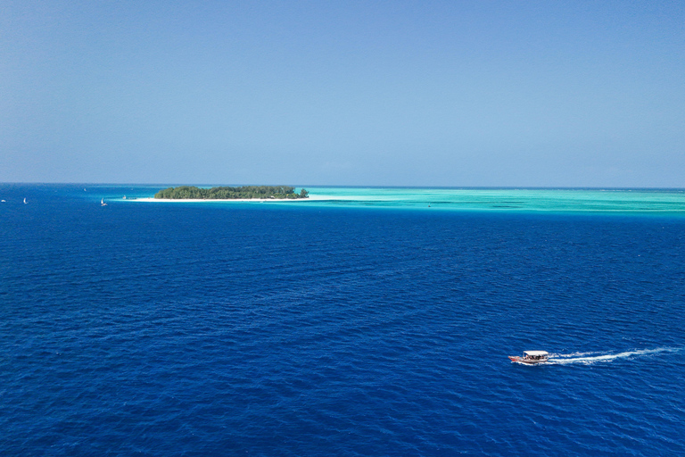 Zanzibar : 2 jours de plongée sous-marine quatre plongéesavec transfert à l&#039;hôtel