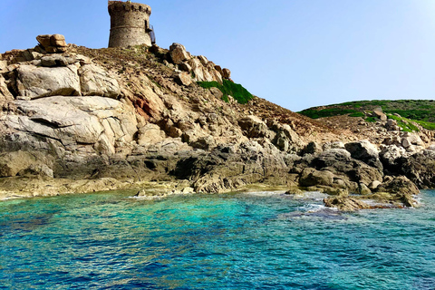 Da Sagone/Cargèse: Tour in barca di Scandola, Piana e Girolata