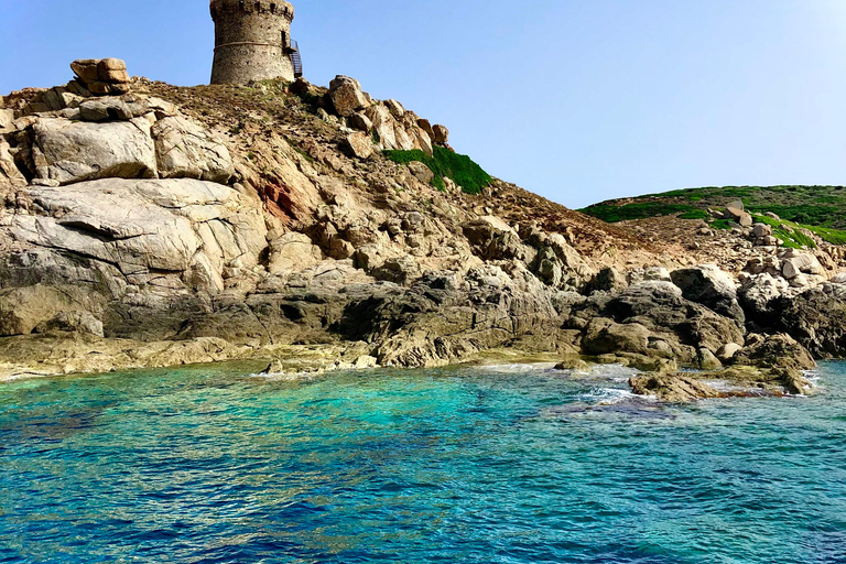 Da Sagone/Cargèse: Tour in barca di Scandola, Piana e Girolata