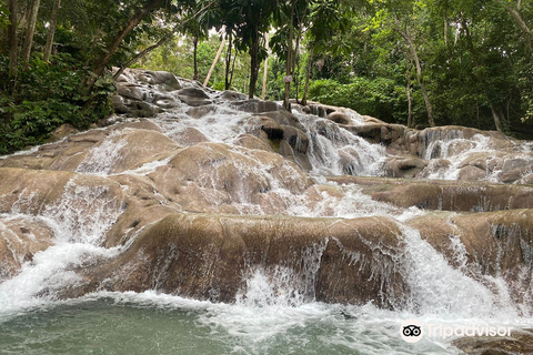 Bob Marley Mausoleum & Dunn’s River Falls Private Tour