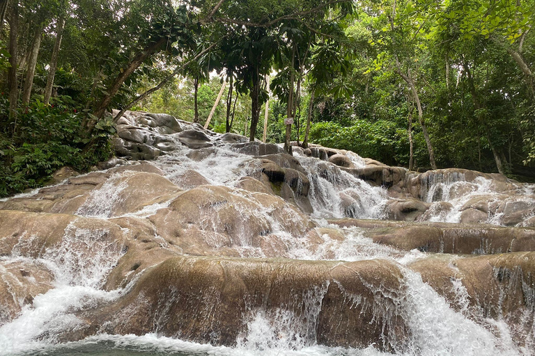 Bob Marley Mausoleum & Dunn’s River Falls Private Tour