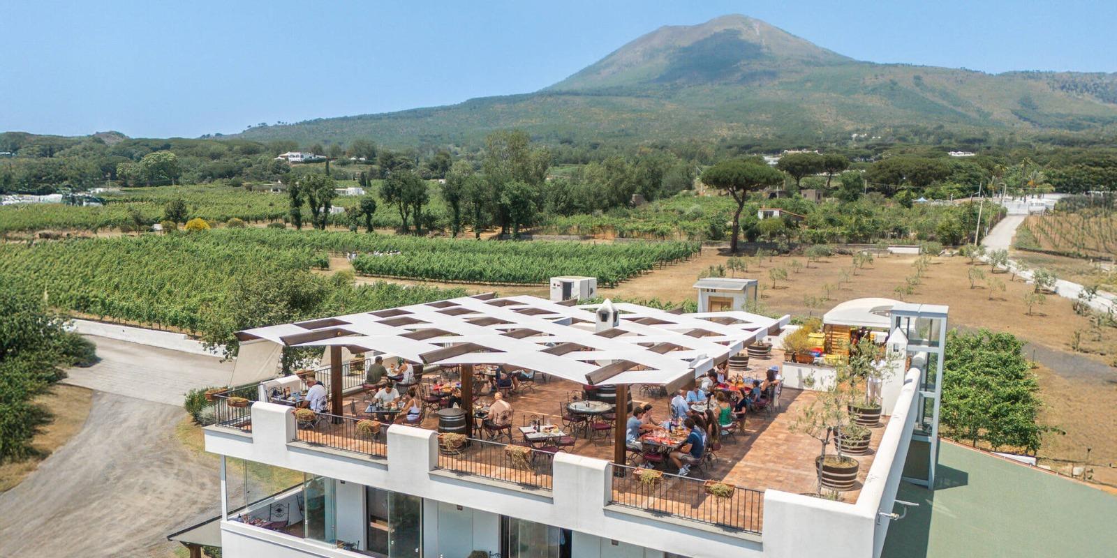 Von Salerno: Tour mit Weinprobe und Farm-to-Table-Mittagessen