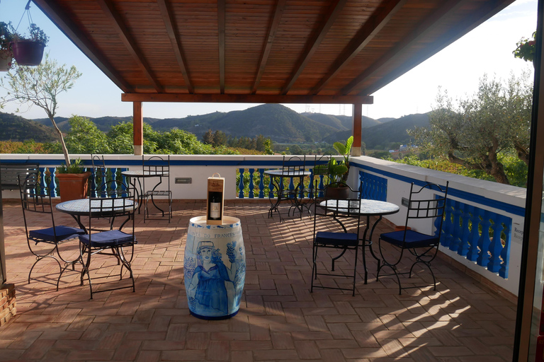 Albufeira, Olhão, Faro: visit to a vineyard, free time in Silves