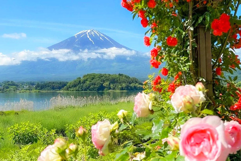 Wycieczka na górę Fuji: jezioro Kawaguchi, świątynia, wioska uzdrowiskowa i pagoda8:30 Wyjazd ze stacji Shinjuku — bez lunchu