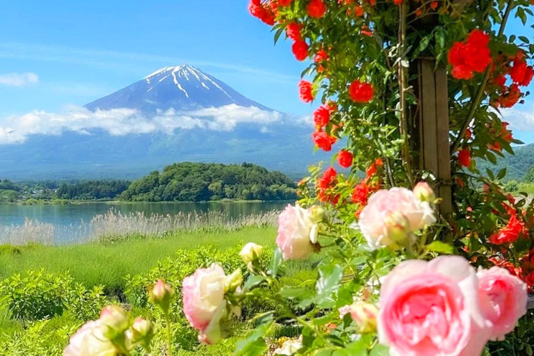 Wycieczka na górę Fuji: jezioro Kawaguchi, świątynia, wioska uzdrowiskowa i pagoda8:30 Wyjazd ze stacji Shinjuku — bez lunchu