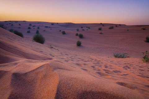 Under the Arabian Stars: Doha Night Desert Safari Adventure