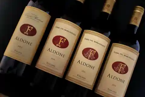 BOLGHERI: Vertical Wine-tasting at Terre del Marchesato