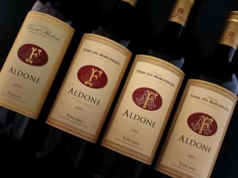 BOLGHERI: Vertical Wine-tasting at Terre del Marchesato