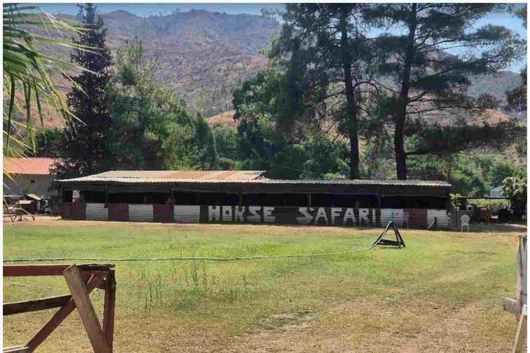 Marmaris: Horseback Riding Safari with Hotel Transfer Private Icmeler Horse Safari