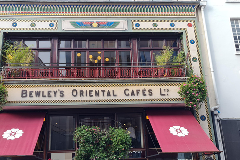 Dublin : Private Sightseeing Tour of Dublin City