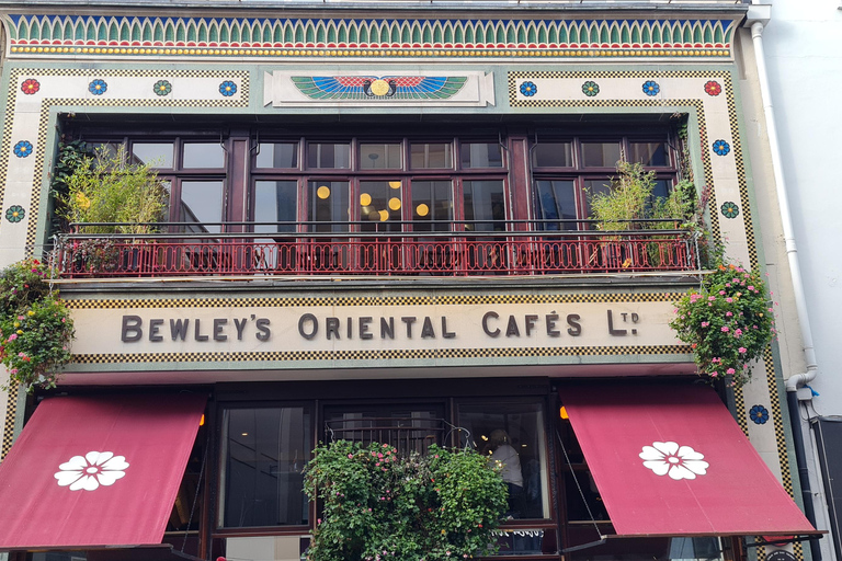 Dublin : Private Sightseeing Tour of Dublin City