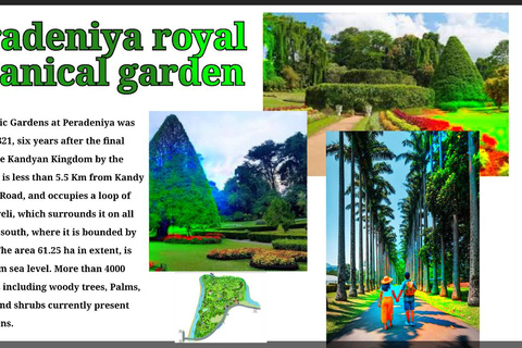 Kandy: City Tour with Temple of the Tooth & Tea Garden