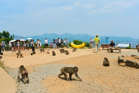 Kyoto: Arashiyama UNESCO Walking Tour with Admission