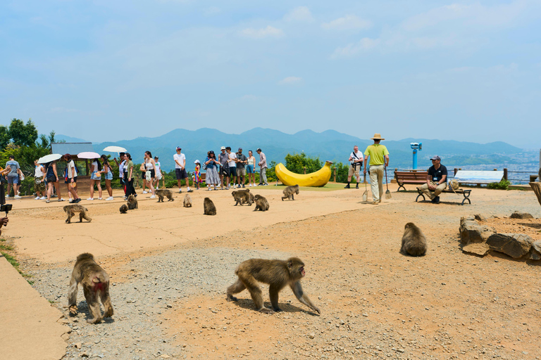 Kyoto: Arashiyama UNESCO Walking Tour with Admission