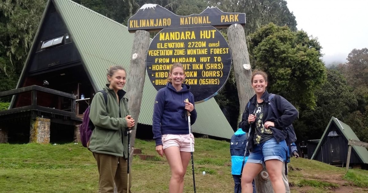 Kilimanjaro Day Hike to Mandara huts | GetYourGuide