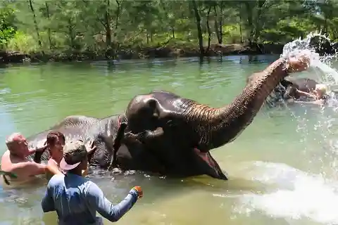 Phuket: Bamboo & Water Rafting with Elephant Bathing
