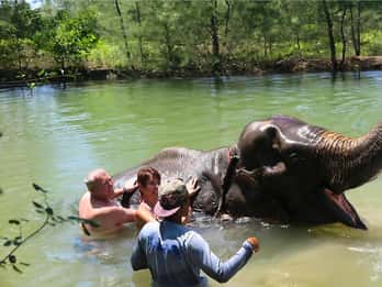 Phuket: Bamboo & Water Rafting con bagno di elefanti