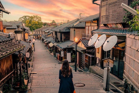 Kyoto, Nara e Osaka: Tour particular personalizável