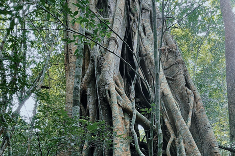 Cat Tien National Park Private 2-Day Tour With Female GuideFood, hotel are excluded