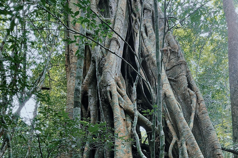 Parque Nacional de Cat Tien Tour particular de 2 dias com guia de turismoNão inclui alimentação e hotel