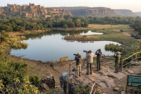 From Delhi: 6-Day Golden Triangle Tour with Ranthambore Tour with 4-Star Accommodation