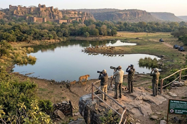 From Delhi: 6-Day Golden Triangle Tour with Ranthambore Tour with 4-Star Accommodation