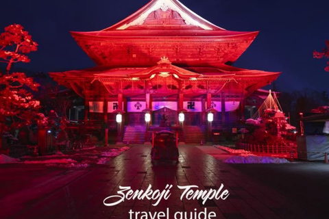 From Tokyo & Nagano: Snow Monkey Private Customizable Tour