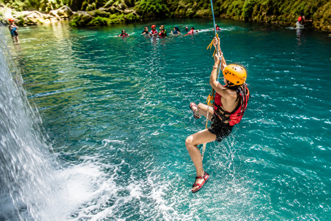 Cebu: Oslob Whale Sharks & Kawasan Canyoneering Tour Private Tour (Recommended)