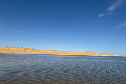 Fayoum: Qarun Sahara Safari With( ATV ) Quad bike From Cairo Private 4 Hours Quad Included Tickets