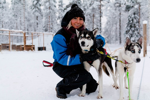 Ab Rovaniemi: Apukka-Husky-Abenteuer