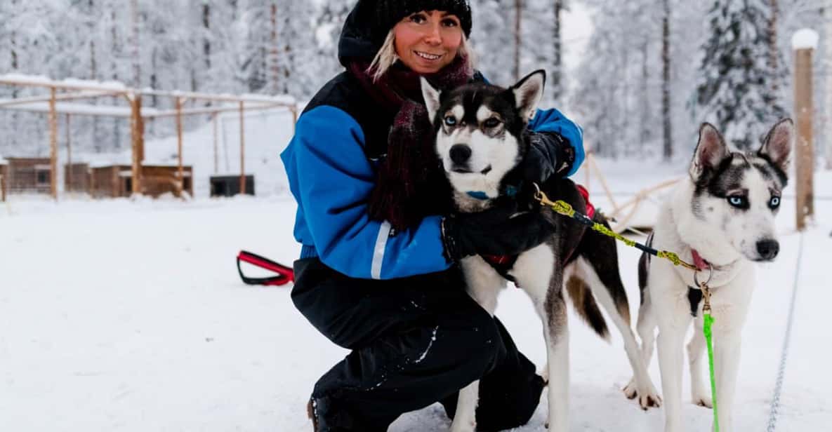 Rovaniemi Husky Ranch 2025 Apukka Husky Adventure In Rovaniemi