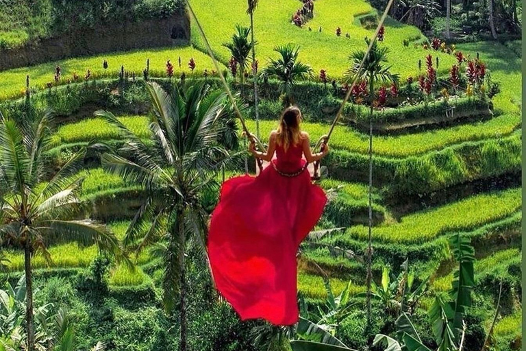 Ubud: Waterfalls, Rice Terrace & Bali Swing, Private Tour Tour With All Entrance Tickets - private tours