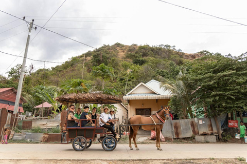 Siem Reap: Private Horseback & Horse-Drawn Carriage Rides (1 hour) Horseback Ride