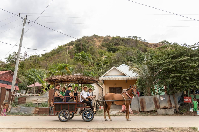 Siem Reap: Private Horseback & Horse-Drawn Carriage Rides (1 hour) Horseback Ride