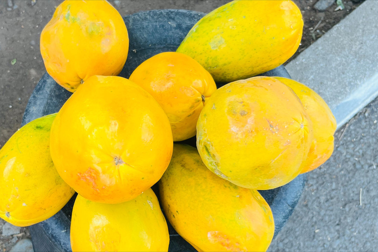 Poznaj największą plantację bananów na Cabo Verde