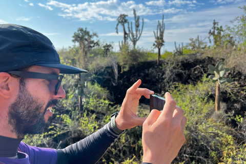Galapagos: Exclusive 7-Day Tour – Santa Cruz, Isabela, and Santa Fe with Snorkeling Galapagos: Exclusive 7-Day Tour of Santa Cruz, Isabela, and Santa Fe with Snorkeling