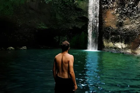 Ubud: Cataratas, Templo e Terraço de Arroz Viagem de 1 dia
