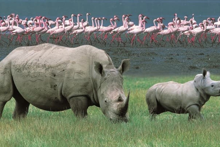 Kenya : 9 jours de safari dans le Masaai MaraKenya : 9 jours de safari dans le Maasai Mara