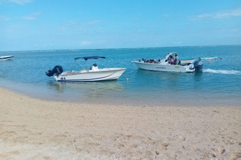 Inigualable excursión con delfines en la playa de La Preneuse , MauricioInigualable excursión con delfines en la playa de La Preneuse, Mauricio